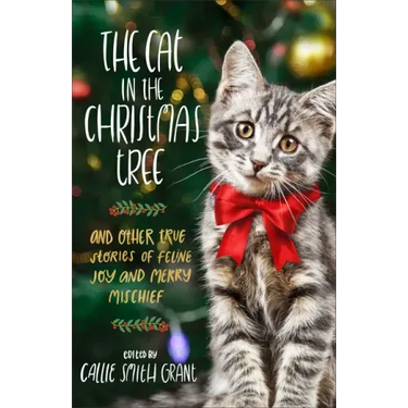 Cat in the Christmas Tree