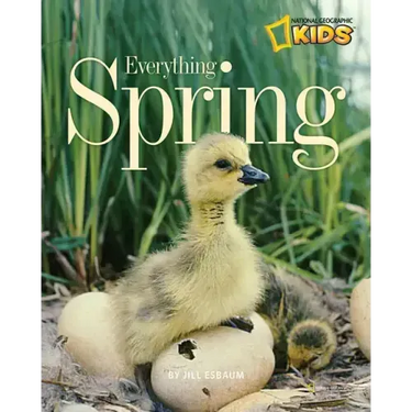 Everything Spring