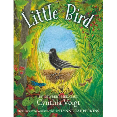 Little Bird
