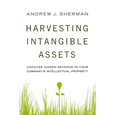 Harvesting Intangible Assets: Uncover Hidden Revenue in Your Company's Intellectual Property