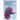 Essential Revision Notes for FRCS (Urol) - Book 1: The essential revision book for candidates preparing for the Intercollegiate FRCS (Urol) examinatio