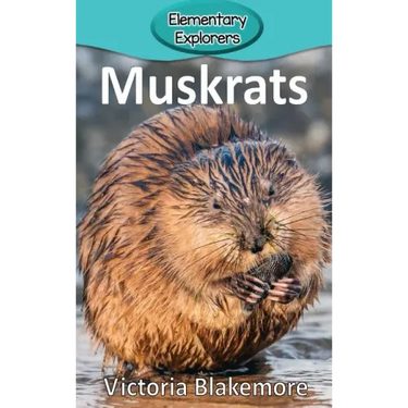 Muskrats