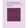 Essays about Modern Algebra