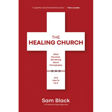 The Healing Church: What Churches Get Wrong about Pornography and How to Fix It