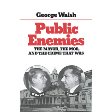Public Enemies: The Mayor, the Mob, and the Crime That Was