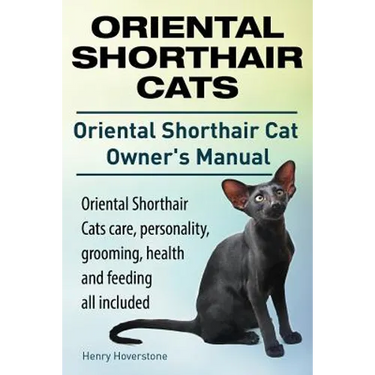 Oriental Shorthair Cats. Oriental Shorthair Cat Owners Manual. Oriental Shorthair Cats care, personality, grooming, health and feeding all included.