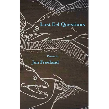 Lost Eel Questions