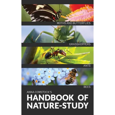 The Handbook Of Nature Study in Color - Insects