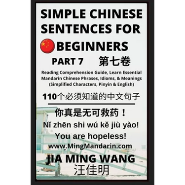Simple Chinese Sentences for Beginners (Part 7) - Idioms and Phrases for Beginners (HSK All Levels)