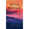 Little Book, Big Testimony: How Vulnerability led to Victory