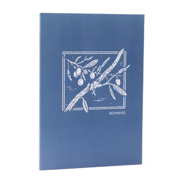 Net Abide Bible Journal - Romans, Paperback, Comfort Print: Holy Bible