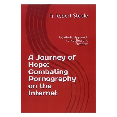 A Journey of Hope: Combating Pornography on the Internet