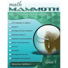 Math Mammoth Grade 7 Skills Review Workbook
