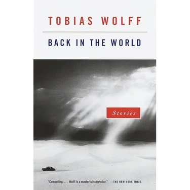 Back in the World: Stories
