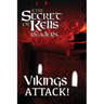 Vikings Attack!