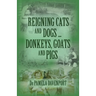 Reigning Cats and Dogs ... Donkeys, Goats and Pigs