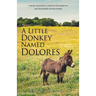 A Little Donkey Named Dolores: A Short Allegorical Christian Tale Based on the life journey of the author