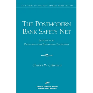 The Postmodern Bank Safety Net:: Lessons from Developed and Developing Economies