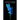 Hyacinthus