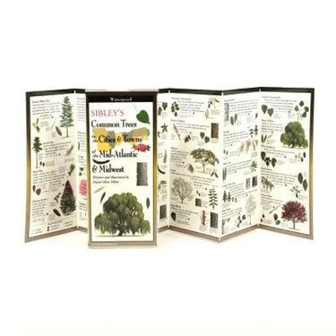 Sibley's Common Trees in the Cities & Towns of the Mid-Atlantic & Midwest