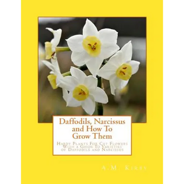 Daffodils, Narcissus and How To Grow Them: Hardy Plants For Cut Flowers With a Guide To Varieties of Daffodils and Narcissus