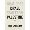 What Does Israel Fear from Palestine?