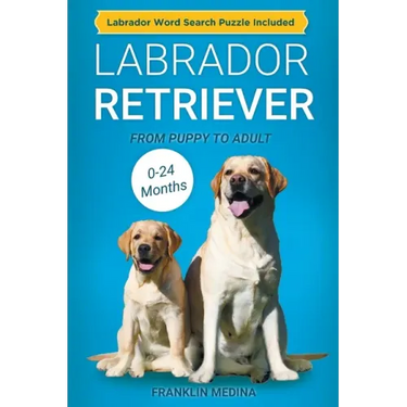 Labrador Retriever: From Puppy to Adult (0-24 Months)