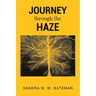 JOURNEY Through The HAZE