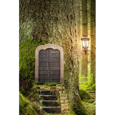 Forest Door, Discreet Internet Password Logbook, Large Print