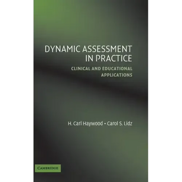 Dynamic Assessment in Practice