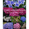 Today's Hydrangeas: A Buying Guide & More