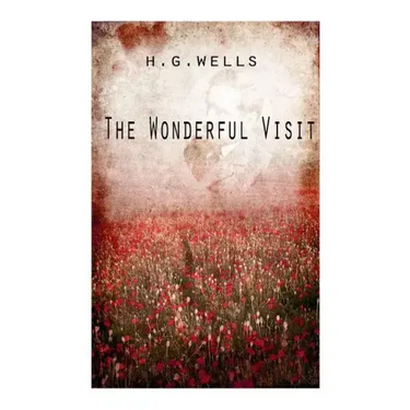 The Wonderful Visit
