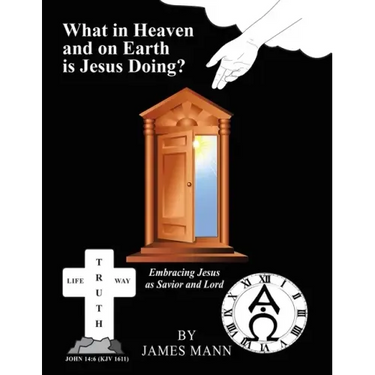 What in Heaven and on Earth Is Jesus Doing?: Embracing Jesus as Savior and Lord