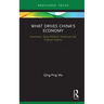 What Drives China's Economy: Economic, Socio-Political, Historical and Cultural Factors