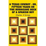 A Texas Cowboy: Or, Fifteen Years on The Hurricane Deck of a Spanish Boy