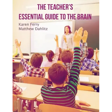 The Teacher's Essential Guide To The Brain