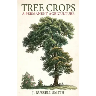 Tree Crops: A Permanent Agriculture