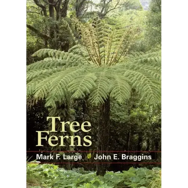 Tree Ferns