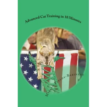 Advanced Cat Training in 10 Minutes