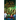Really Puzzled (The Puzzled Mystery Adventure Series: Book 2)