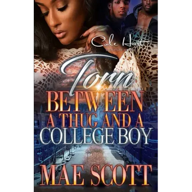 Torn Between A Thug And A College Boy: An Urban Romance: Standalone