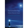 (Sur)rendering