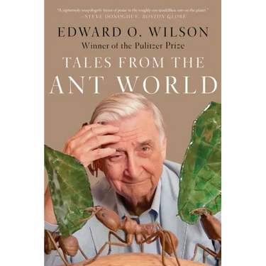 Tales from the Ant World