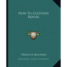 How to Cultivate Repose