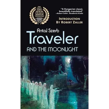 Traveler and the Moonlight