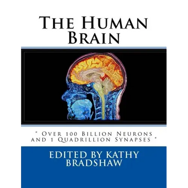 The Human Brain: " Over 100 Billion Neurons and 1 Quadrillion Synapses "