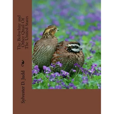 The Bobwhite and Other Quail Of The United States