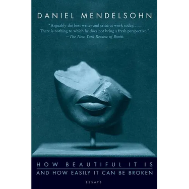 How Beautiful It Is and How Easily It Can Be Broken: Essays