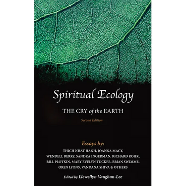 Spiritual Ecology: The Cry of the Earth