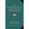 The Busy Pastor's Guide: A Resume of Canon Law, Moral and Pastoral Theology, Together with the Relevant Decisions of the Roman Congregations